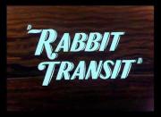 Rabbit Transit