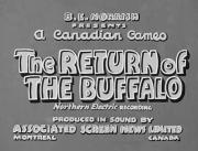 Return of the Buffalo