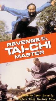 Revenge of the Tai Chi Master