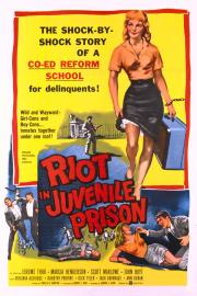 Riot in Juvenile Prison