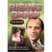 Rising Damp