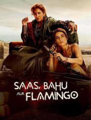 Saas, Bahu Aur Flamingo