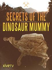 Secrets of the Dinosaur Mummy