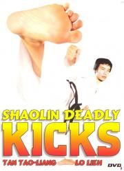 Shaolin Deadly Kicks