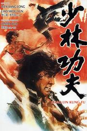 Shaolin Kung Fu