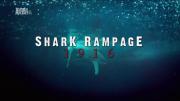 Shark Rampage