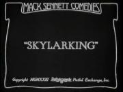 Skylarking