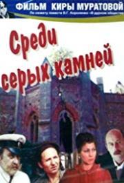 Sredi serykh kamney