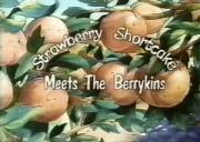 Strawberry Shortcake Meets the Berrykins