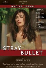 Stray Bullet