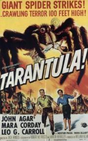 Tarantula