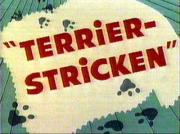 Terrier-Stricken