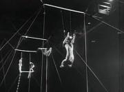 The Aerialist