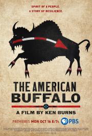 The American Buffalo