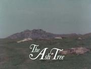 The Ash Tree