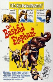 The Bashful Elephant