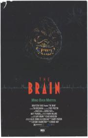 The Brain