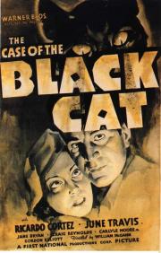 The Case of the Black Cat