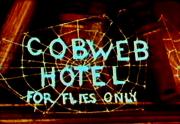 The Cobweb Hotel