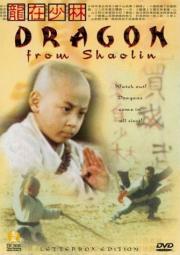 The Dragon from Shaolin