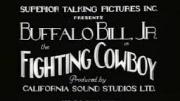 The Fighting Cowboy