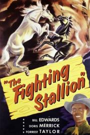 The Fighting Stallion