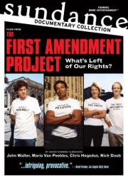 The First Amendment Project: Some Assembly Required