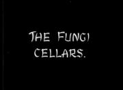 The Fungi Cellars