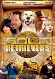 The Gold Retrievers