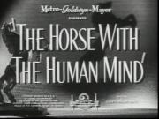 The Horse with the Human Mind