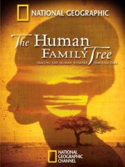 The Human Family Tree