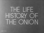 The Life History of the Onion