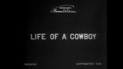 The Life of a Cowboy