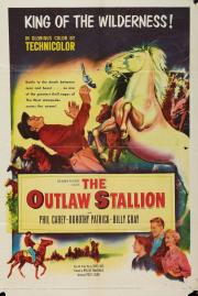 The Outlaw Stallion