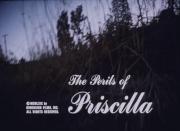 The Perils of Priscilla