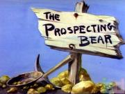 The Prospecting Bear