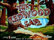 The Redwood Sap