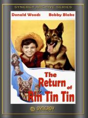 The Return of Rin Tin Tin