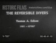 The Reversible Divers