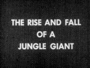 The Rise and Fall of a Jungle Giant