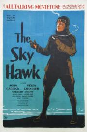 The Sky Hawk