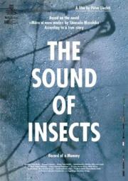 The Sound of Insects: Record of a Mummy