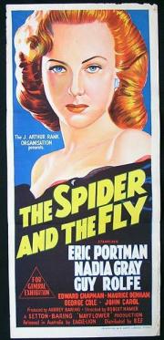 The Spider and the Fly