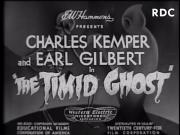 The Timid Ghost