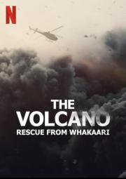 The Volcano: Rescue from Whakaari