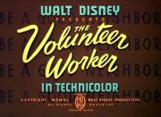 The Volunteer Worker