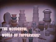 The Wonderful World of Tupperware