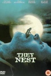 They Nest - Creepy Crawlers