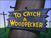 To Catch a Woodpecker