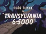 Transylvania 6-5000